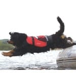 ΣΩΣΙΒΙΟ ΣΚΥΛΟΥ